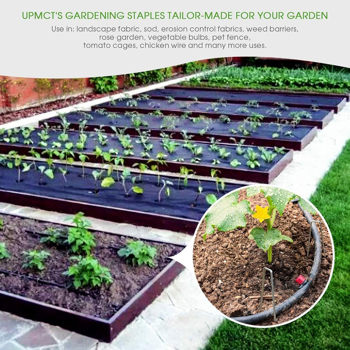12 Inch Galvanized Garden Landscape Staples Stakes, 25 50 100 PCS Anti-Rust Garden Staples U-Shaped Landscape Pins for Secure Lawn Fabric (25, 12 Inch)