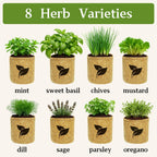 Indoor Herb Garden Start Kit - Unique Gifts for Women, Mothers Day Gifts, Easy House Plant- Birthday for Women,House Warming Gift New Home- Fresh Herb Garden DIY Crafts for Adults