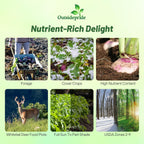 Outsidepride Purple Top Turnip Seeds - 50 Lbs High-Yield, High Protein Turnip Seed, Ideal Cover Crop, for Forage, Grazing Livestock, High Energy Deer Food Plot & Soil Improvement