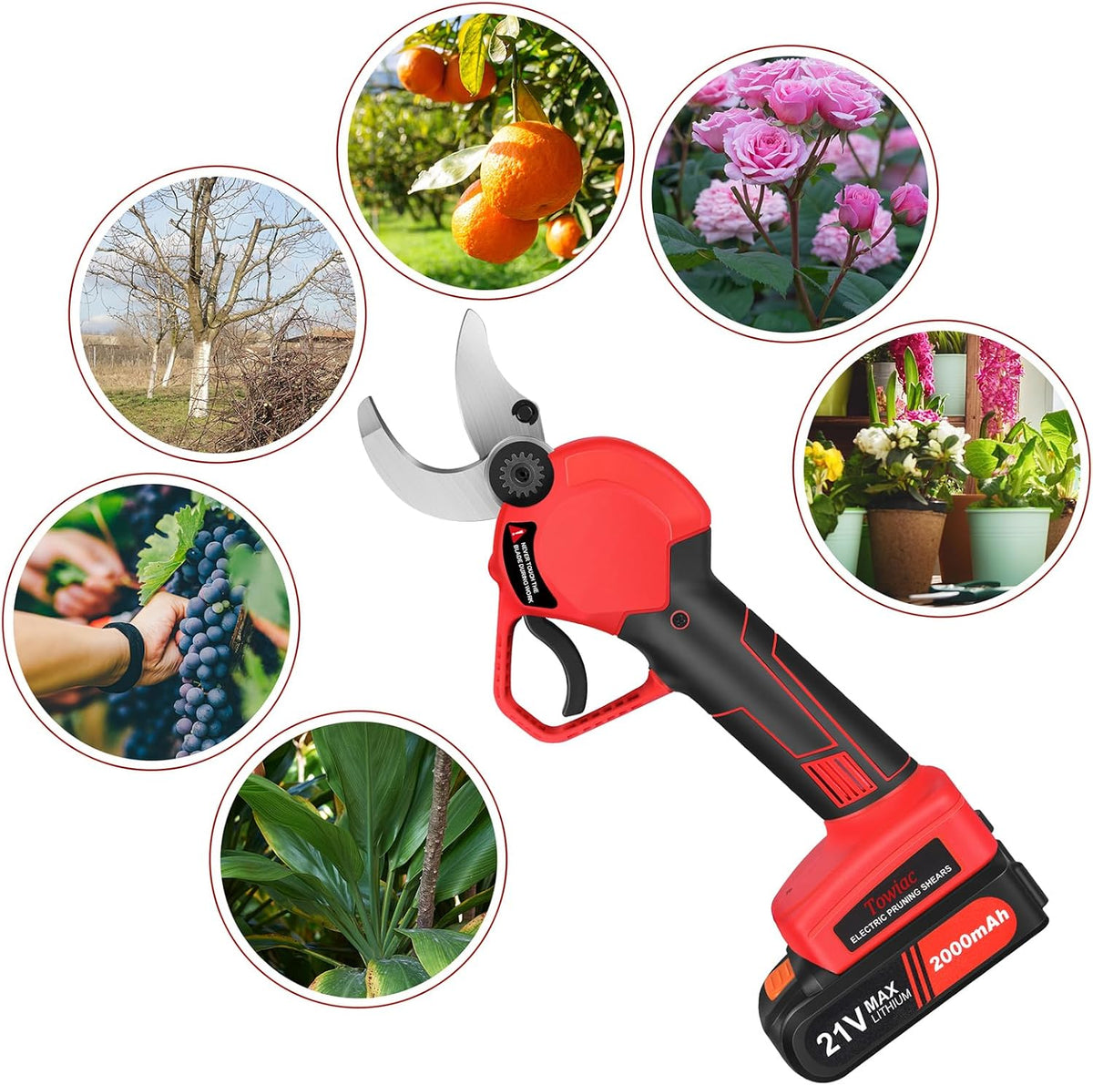 Electric Pruning Shears，Professional Cordless Tree Branch Pruner with 2PCS Lithium Battery and Matching Tools，30mm (1.2″) Cutting Diameter