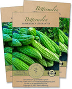Gaea's Blessing Seeds - Bitter Melon Seeds - Bitter Gourd Heirloom Non-GMO Bittermelon Seeds with Easy to Follow Planting Instructions - 92% Germination Rate (Pack of 3)
