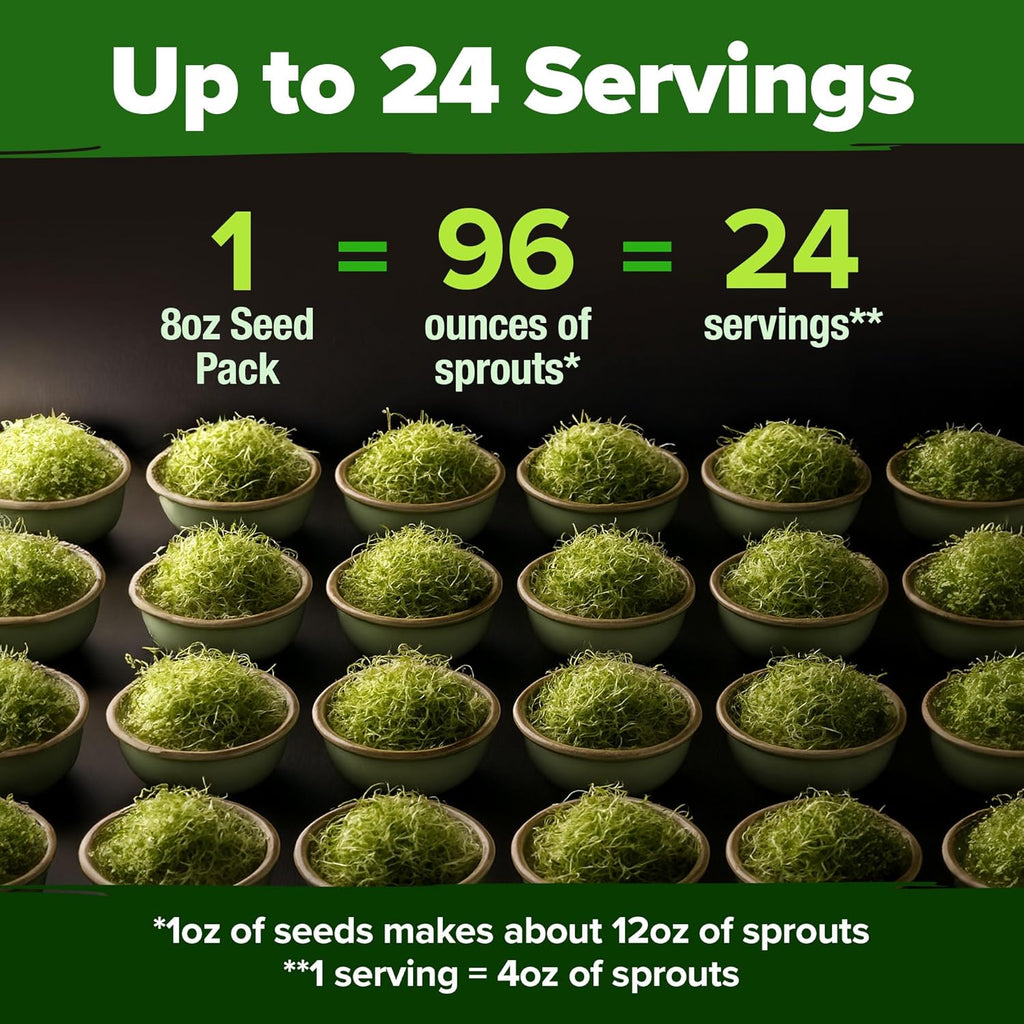 HOME GROWN Broccoli Seeds 8 oz - for Sprouting or Microgreens 𝗡𝗢𝗡-𝗚𝗠𝗢 𝗨𝗦𝗔-𝗦𝗢𝗨𝗥𝗖𝗘𝗗 High Germination Sprout Seeds Nutritious Micro Greens - Broccoli Sprouts in 5 days - Sulforaphane Rich
