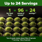 HOME GROWN Broccoli Seeds 8 oz - for Sprouting or Microgreens 𝗡𝗢𝗡-𝗚𝗠𝗢 𝗨𝗦𝗔-𝗦𝗢𝗨𝗥𝗖𝗘𝗗 High Germination Sprout Seeds Nutritious Micro Greens - Broccoli Sprouts in 5 days - Sulforaphane Rich