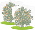 Agfabric 2 Pack Fruit Tree Netting Protection Bag with Drawstring,3.2x4.9 FT Garden Netting Insect Pest Barrier,Bird Netting Plant Covers for Vegetables Fruits Flower,White