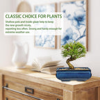 Set of 2 Blue Glazed Ceramic Bonsai Pots, 9.8" & 7.4" Rectangular Bonsai Pots Planters with Drainage for Indoor/Outdoor Plants, Shallow Bonzie Tree Pot for Succulents, Cacti, Orchids, Herbs, Flowers