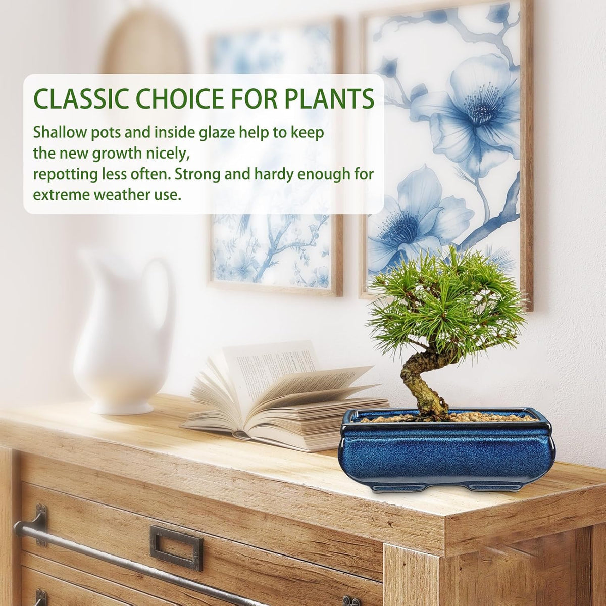 Set of 2 Blue Glazed Ceramic Bonsai Pots, 9.8" & 7.4" Rectangular Bonsai Pots Planters with Drainage for Indoor/Outdoor Plants, Shallow Bonzie Tree Pot for Succulents, Cacti, Orchids, Herbs, Flowers
