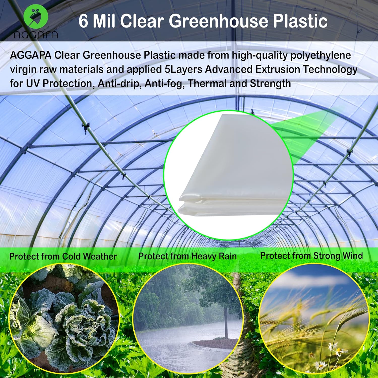 6 mil (12ft x 25ft) 100% Virgin Material. 5Layers Advanced Extrusion Technology for UV Protection, Anti-drip, Anti-Fog, Thermal and Strength. 4Years Lifetime UV Resistant Greenhouse Plastic