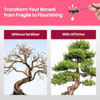 16oz Bonsai Tree Live Liquid Plant Food - Makes 32 Gallons of Bonsai Fertilizer Liquid, Premium Macronutrient Formula Enriched with Micronutrients for Healthy Roots, Branching & Foliage