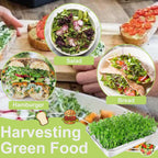 Stainless Steel Sprouts Growing Kit 3-Tier 14 inch Trays, Microgreens Growing Kit, Seed Sprouting Tray with Encrypted Mesh Sprouts for Beans Alfalfa Broccoli Wheat Grass