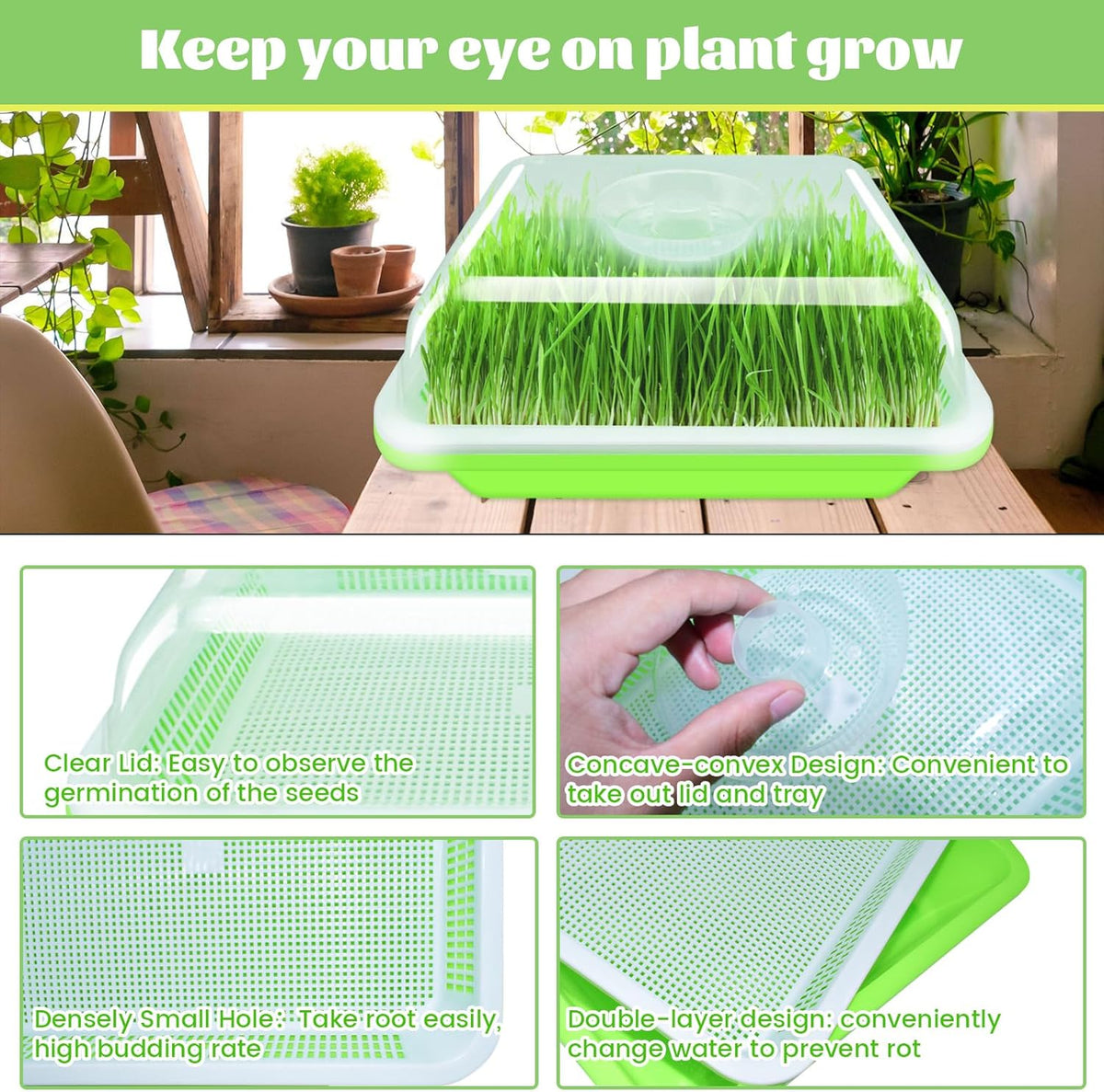 Legigo 5 Pack Seed Sprouter Trays with Lids- Soil-Free Cultivation Germination Tray, BPA Free Micro Greens Growing Trays Seed Sprouting Trays Kit with Germinating Paper for Wheatgrass, Beans and More