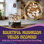 2 LB 2-Pack All-in-One Grow Bag: Up to 32oz of Mushrooms! Nutrient-Enhanced, Injection Port, Just Add Your Own Spores & Grow Like Magic (2 x 2 LB Bags)