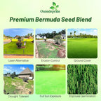 Outsidepride Oasis Bermuda Grass Seed - 10 lbs Warm Season, High Traffic, Heat Resistant, Drought-Tolerant, Low-Maintenance, Fast Growing Turf Grass for Lawn, Ideal for Sunny Areas, Thick Coverage