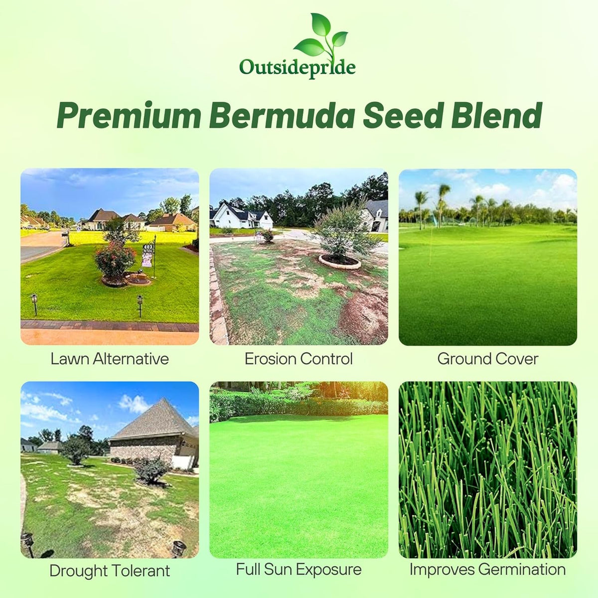 Outsidepride Oasis Bermuda Grass Seed - 10 lbs Warm Season, High Traffic, Heat Resistant, Drought-Tolerant, Low-Maintenance, Fast Growing Turf Grass for Lawn, Ideal for Sunny Areas, Thick Coverage