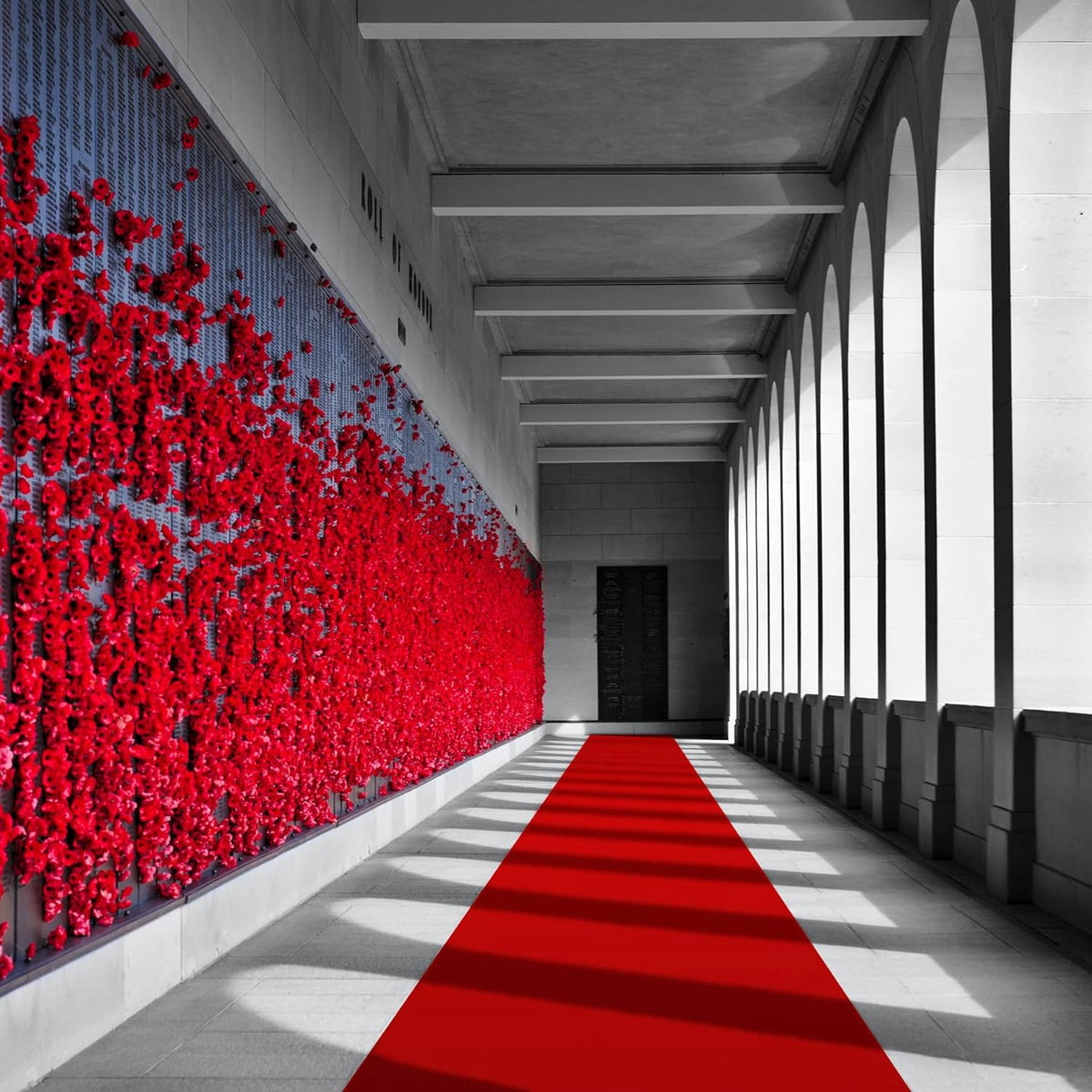 EZLucky Red Carpet Runner for Party, 2.6X15 ft, 130 GSM Felt Non-Woven Fabric, Hollywood Red Carpet for Event, Aisle Runner for Wedding Ceremony, Movie Theme Party Decorations, Red Runway Rug for Prom