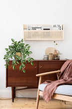 Briful Faux Plants Indoor 17.7in Fake Watermelon Peperomia Plant in Gold Pot with Realistic Silk Green Leaves Artificial Potted Plant for Home Office Table Shelf Desk Modern Room Decor