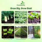 Outsidepride Annual Daikon Radish Seeds - 10 lbs. Chinese, Japanese, & Oriental Radish Seeds for Soil Health, Erosion Control, & Soil Aeration - Ideal for Gardens, Cover Crops, Pastures, & Food Plots