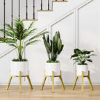Adjustable Plant Stands Set of 2, Metal Modern Small Plant Holder, Heavy Duty Stable Flower Holder Stand Rack for 10-16 Inch Indoor Outdoor Corner Living Room Balcony Office Golden PS-007GY-2