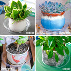 Plant Saucer 15 Pack Plant Trays for Pots 8/10/12 Inch Plastic Plant Saucers for Outdoors and Indoors Clear Drip Trays for Potted Plants Flower Pot Plates to Catch Water Plant Drainage Dishes No Holes