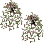 2 Pack Fake Hanging Plants for Shelf in Back Pot, Small Artificial Hanging Ivy Vine Plants Indoor Fake Potted Greenery Plant for Room Bathroom Kitchen Wall End Table Mimi Faux Nerve Plant Set Decor