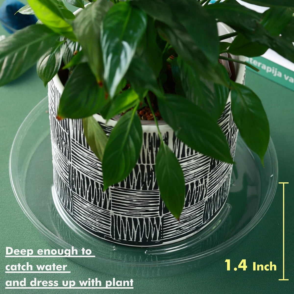 Plant Saucer 30 Pack Plant Trays for Pots 4/6/8/10/12 Inch Plastic Plant Saucers for Outdoors & Indoors Clear Drip Trays for Potted Plants Flower Pot Plates to Catch Water Drainage Dishes No Holes