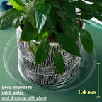 Plant Saucer 30 Pack Plant Trays for Pots 12 Inch Plastic Plant Saucers for Outdoors and Indoors Clear Drip Trays for Potted Plants Flower Pot Plates to Catch Water Plant Drainage Dishes No Holes