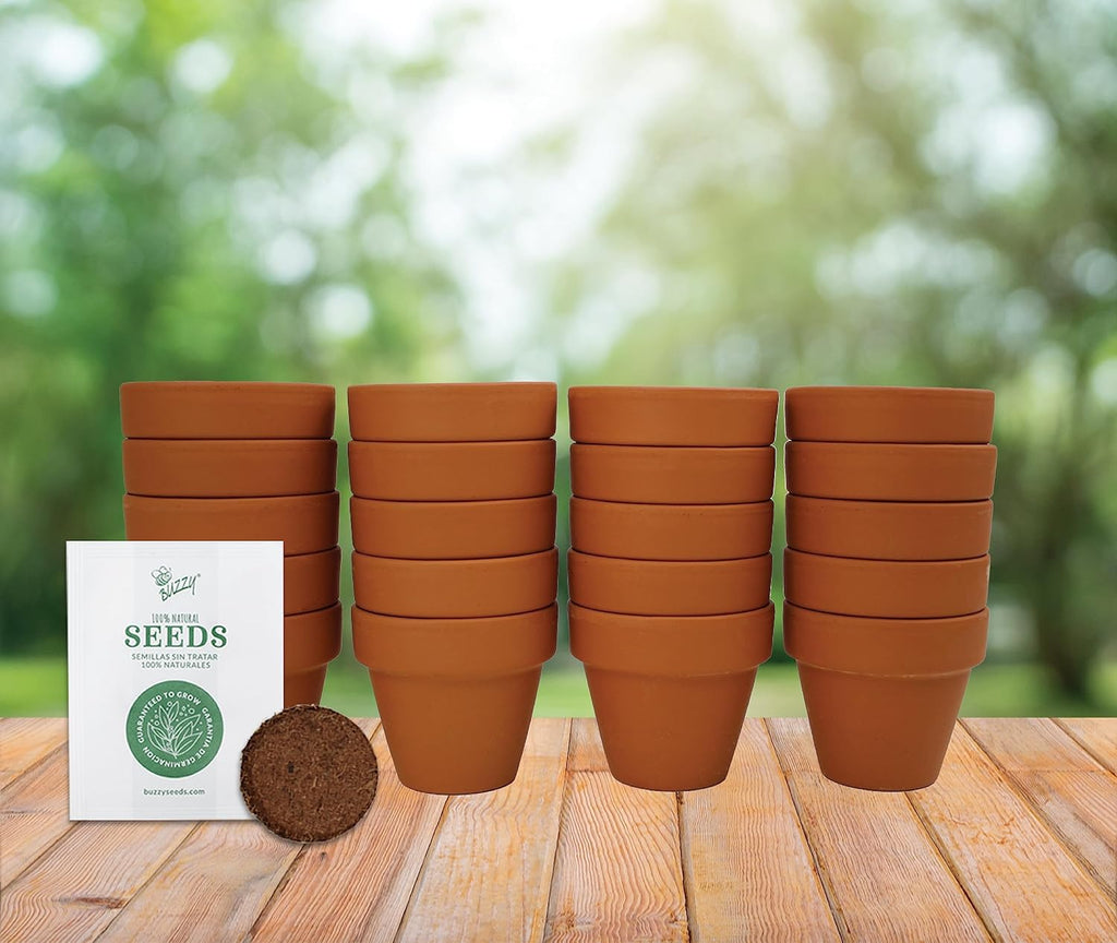 BUZZY Daisy Seeds & Genuine Terracotta 5cm Mini Pot Bulk Pack (20 Count), Includes 20 Each of pots, Soil pellets and Seeds - Great for Favors, Crafts, School Projects - Guaranteed to Grow