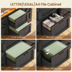 SEDETA 47.2" File Cabinet, 2 Drawers Filing Cabinets for Home Office fit Legal/Letter/A4 File, Farmhouse File Cabinet with Barn Door & Power Outlets, Printer Stand with Storage & LED Lights, Black