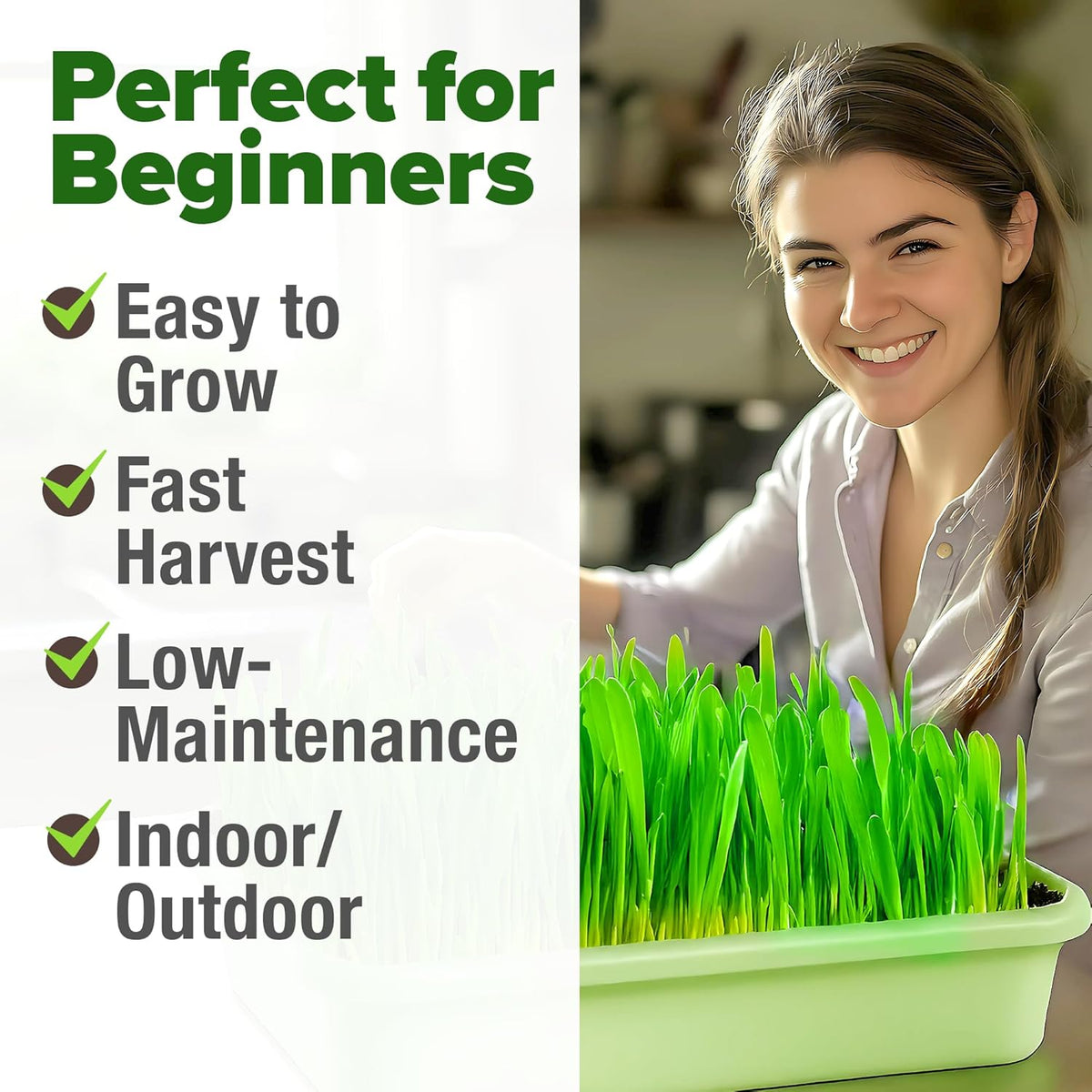 HOME GROWN 12,000+ Wheatgrass Seeds Bulk Pack(1.5 lb) 𝗡𝗢𝗡-𝗚𝗠𝗢 𝗨𝗦𝗔 Hard Red Winter Wheatgrass – Heirloom, Sprouting for Juicing, Microgreens, Smoothies & Indoor Gardening(Triticum aestivum)