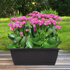 8pcs Window Box Planter,17 Inches Flower Window Boxes,Rectangle Planters Box with Drainage Holes and Trays, Plastic Vegetable Planters for Windowsill Patio Garden Home Decor Porch Yard (Black)