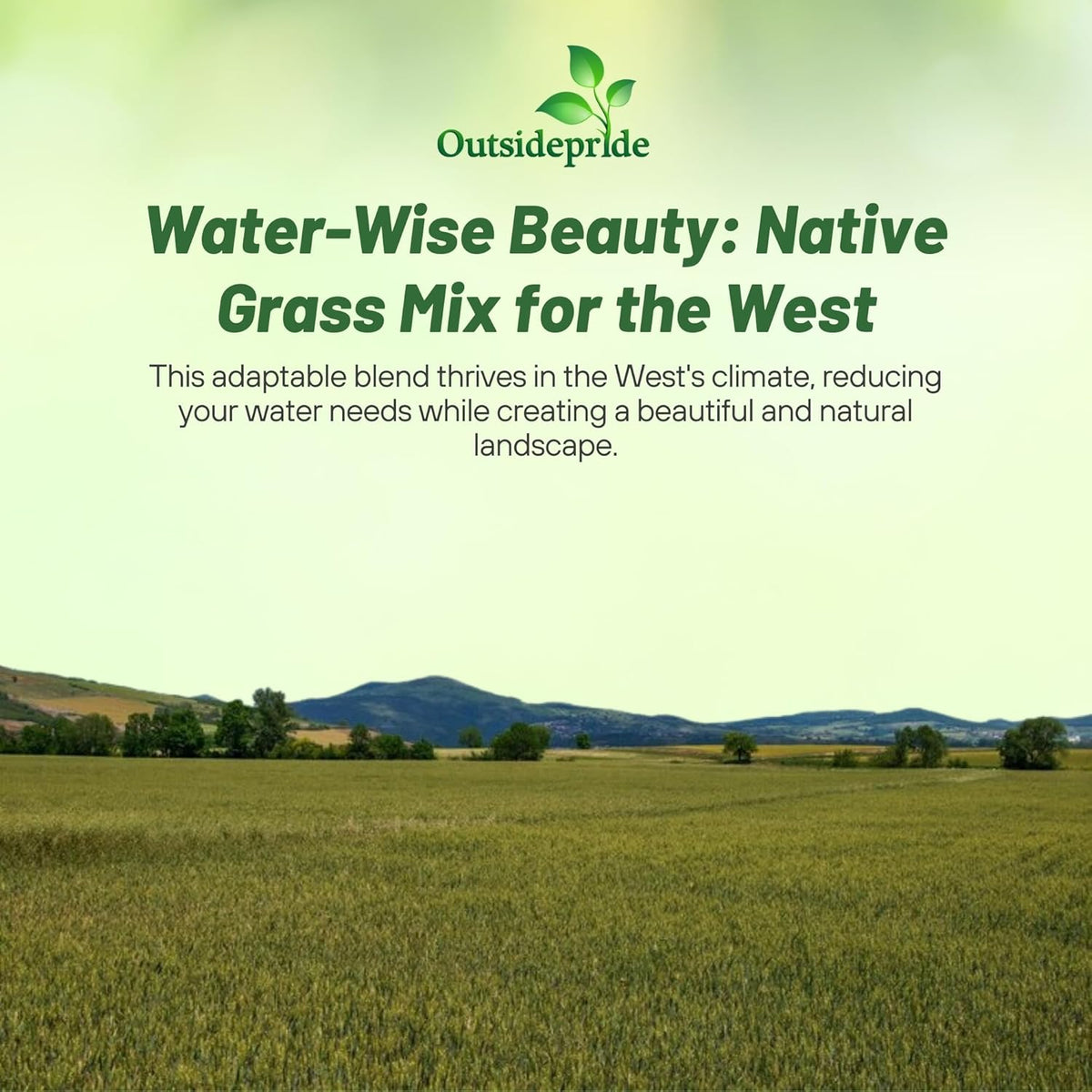 Outsidepride Western Native Grass Seed Mix - 1 lb. Perennial Blend of Warm & Cool Season, Drought Tolerant Grass Seed for Natural Landscaping w/Wildflower, Soil Health Improvement & Erosion Control