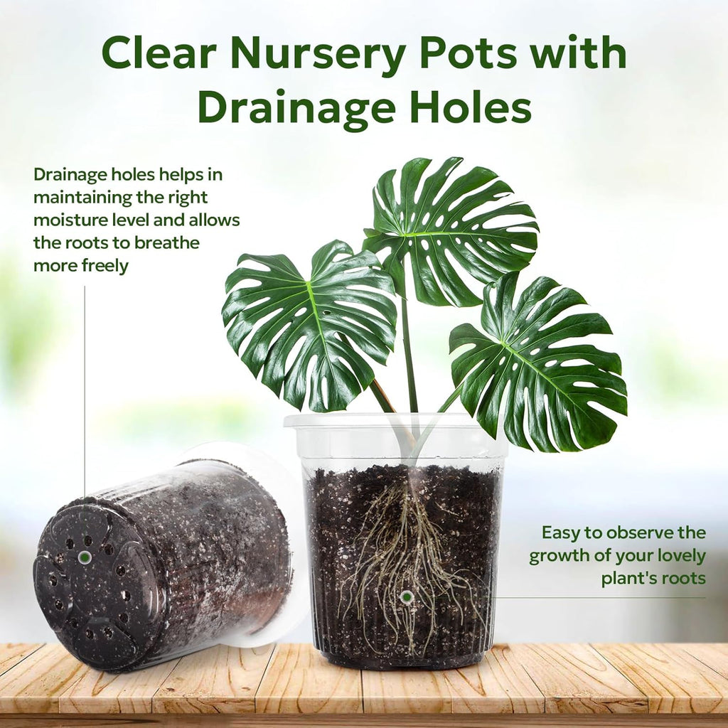 1 Gallon Reinforced Clear Nursery Pots with Drainage Hole, 30 Packs, 6.7 Inch Transparent Pots for Seedlings, Indoor/Outdoor Plants, Veggies, Flowers, and Professional Nursery Use