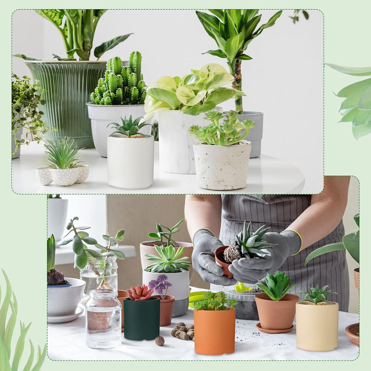 WILLBOND 50 Pcs Bulk Mini Artificial Succulents Plants Assorted Unpotted Realistic Plants Fake Textured Succulent Picks Realistic Plastic Cactus Stems for Succulent Garden Home Decor (Normal Style)