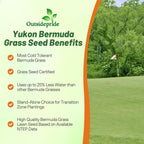 Outsidepride Yukon Bermuda Grass Seed - 5 lbs Cold & High Traffic Tolerant, Premium Hybrid Bermuda Turf Grass Seeds for Lawn, Ideal Low Maintenance Seed Grass for Colder & Challenging Area