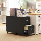 HOMCOM Vertical Filing Cabinet with 2 Drawers Lockable File Cabinet Black | Adjustable Hanging Bars, for A4 and Letter, for Home Office