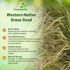 Outsidepride Western Native Grass Seed Mix - 25 lbs. Perennial Blend of Warm & Cool Season, Drought Tolerant Grass Seed for Natural Landscaping w/Wildflower, Soil Health Improvement & Erosion Control