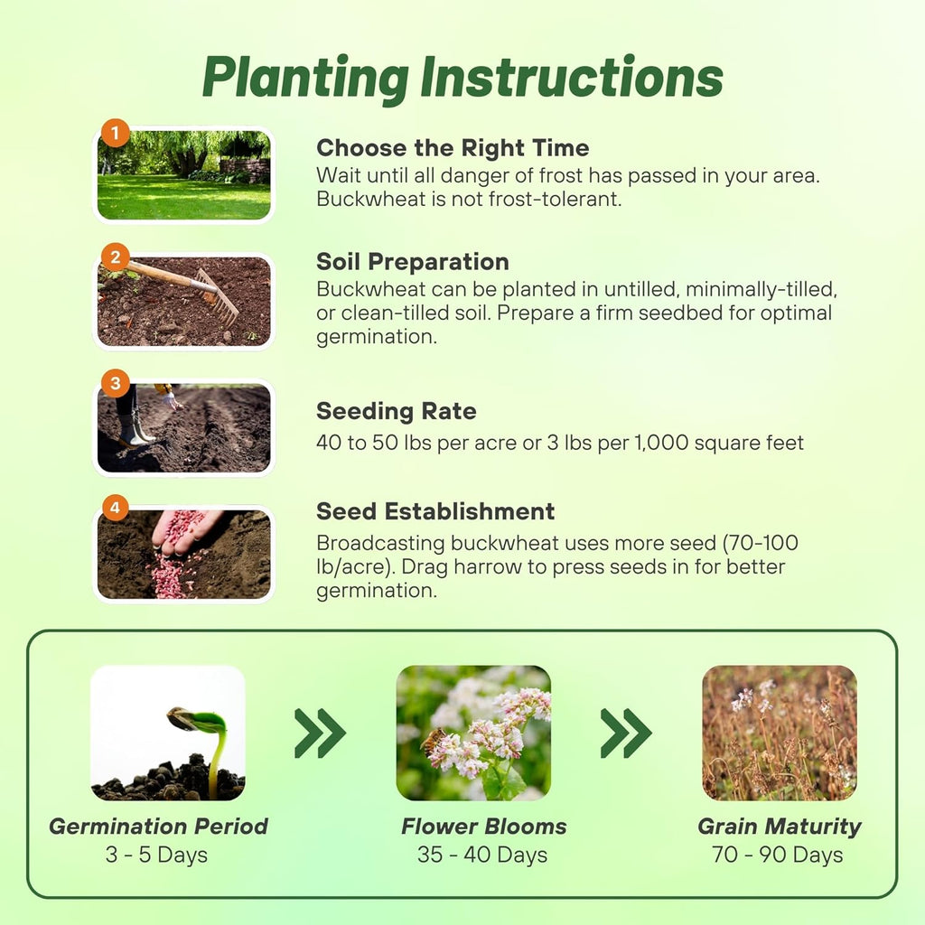 Outsidepride Buckwheat Seeds - 1oz Annual, Fast-Growing, Easy to Grow Buckwheat Cover Crop Seeds for Green Manure, Bee Pasture & Pollinators, Wildlife Habitat, Soil Improvement, and Erosion Control