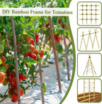 Plant Stakes 4.8FT, Natural Bamboo Stakes, HAINANSTRY 20Pcs Sturdy Bamboo Garden Stakes, Bamboo Sticks for Plants, Beans, Indoor and Outdoor Climbing Plants, Tomato Vegetable Stakes for Garden