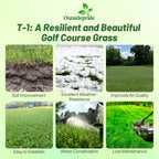Outsidepride T-1 Creeping Bentgrass Seed - 5 lbs Fine-Bladed, Premium Quality Turf, Grass Seed for Smooth Surface, & High-Traffic Areas, Ideal Grass for Golf Courses Putting Greens, & Fairways