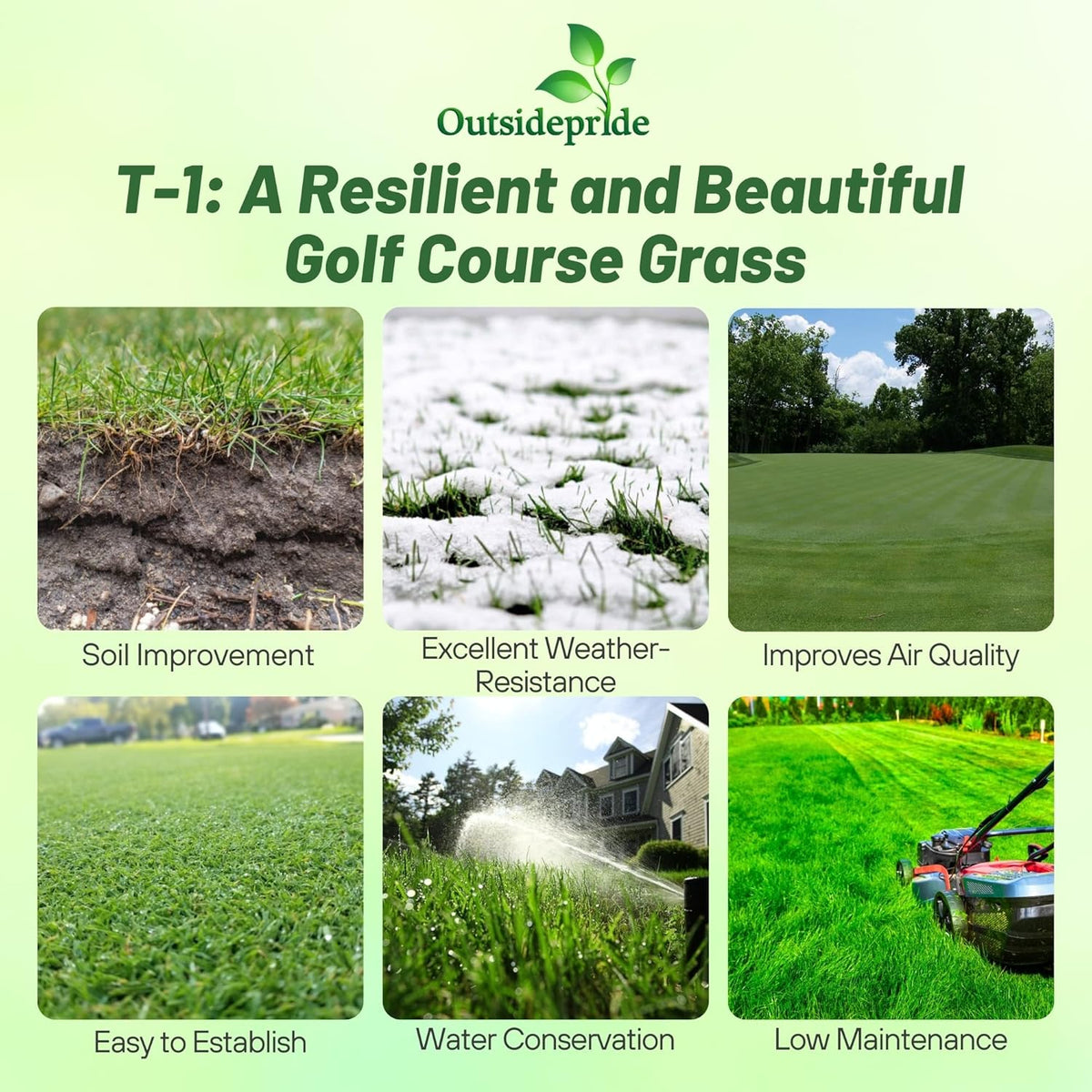 Outsidepride T-1 Creeping Bentgrass Seed - 5 lbs Fine-Bladed, Premium Quality Turf, Grass Seed for Smooth Surface, & High-Traffic Areas, Ideal Grass for Golf Courses Putting Greens, & Fairways