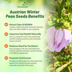 Outsidepride Austrian Winter Peas Seeds for Planting – 1 lbs Bag (Cool-Season Cover Crop, High-Protein Deer Food Plot Seed) Field Peas, Cover Crop Seeds, Spring Mix for Soil Health & Forage