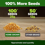 HOME GROWN 𝗨𝗦𝗔 𝗣𝗥𝗘𝗠𝗜𝗨𝗠 Golden Bantam Corn 1 Pack 100 𝗡𝗢𝗡-𝗚𝗠𝗢 Heirloom Vegetable Seeds Grow Sweet Corn Outdoors Easy for Beginners & Great for Home Gardeners High Germination (Zea mays)