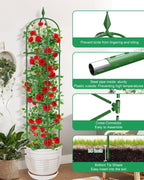 Garden Trellis for Climbing Plants Outdoor & Indoor - 2 Pack 6Ft Tall Rustproof Plant Support Cage for Vines, Flowers, Vegetables, Roses | Heavy-Duty, Adjustable & Decorative