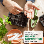 10 Kit Non-GMO Growing into Thyme, Lavender, Chamomile, Dill, Chives, Cilantro, Rosemary, Basil, Parsley, Sage Indoor/Outdoor for Kitchen Windowsill Gardening Gift