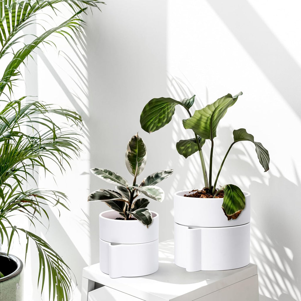 Phoenix Vine 6.5 Inch Self-Watering Planter Pot with Terracotta Insert, Deep Water Reservoir, and Ceramic-Alike BPA-Free Plastic Pot for Plant, Modern Planter for Houseplants, White, 53-A-S-1