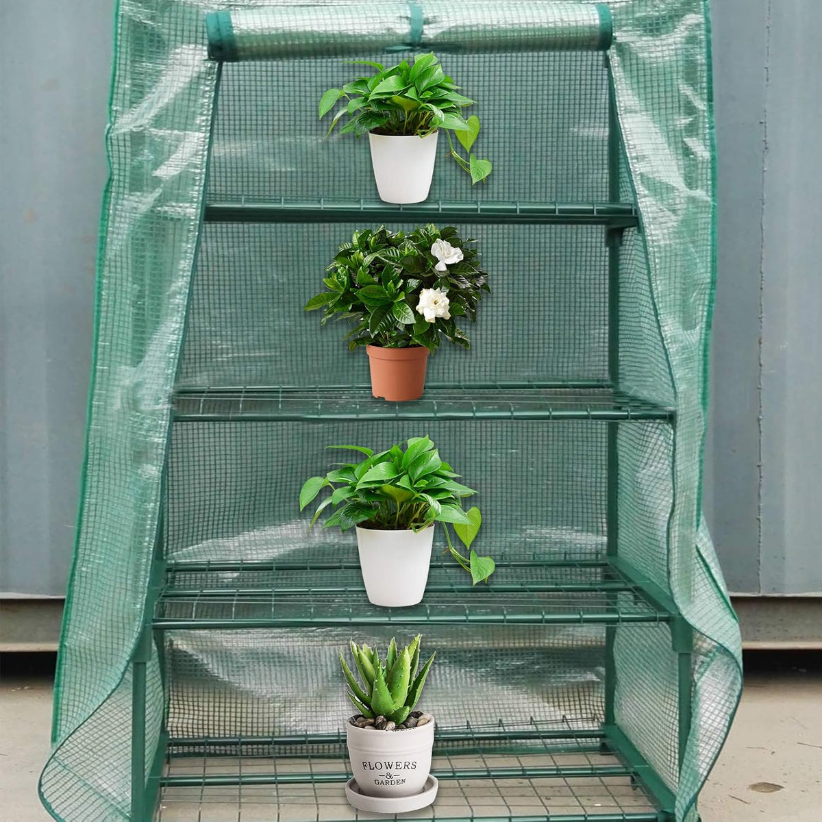 Sfcddtlg 4 Tier Greenhouse Replacement Cover, 63" x 27.2" x 19.3" PE Plant Greenhouse Cover with Roll-Up Zipper Door for Indoor Outdoor Gardening Plants Cold Frost Wind Rain Proof (Frame NOT Included)