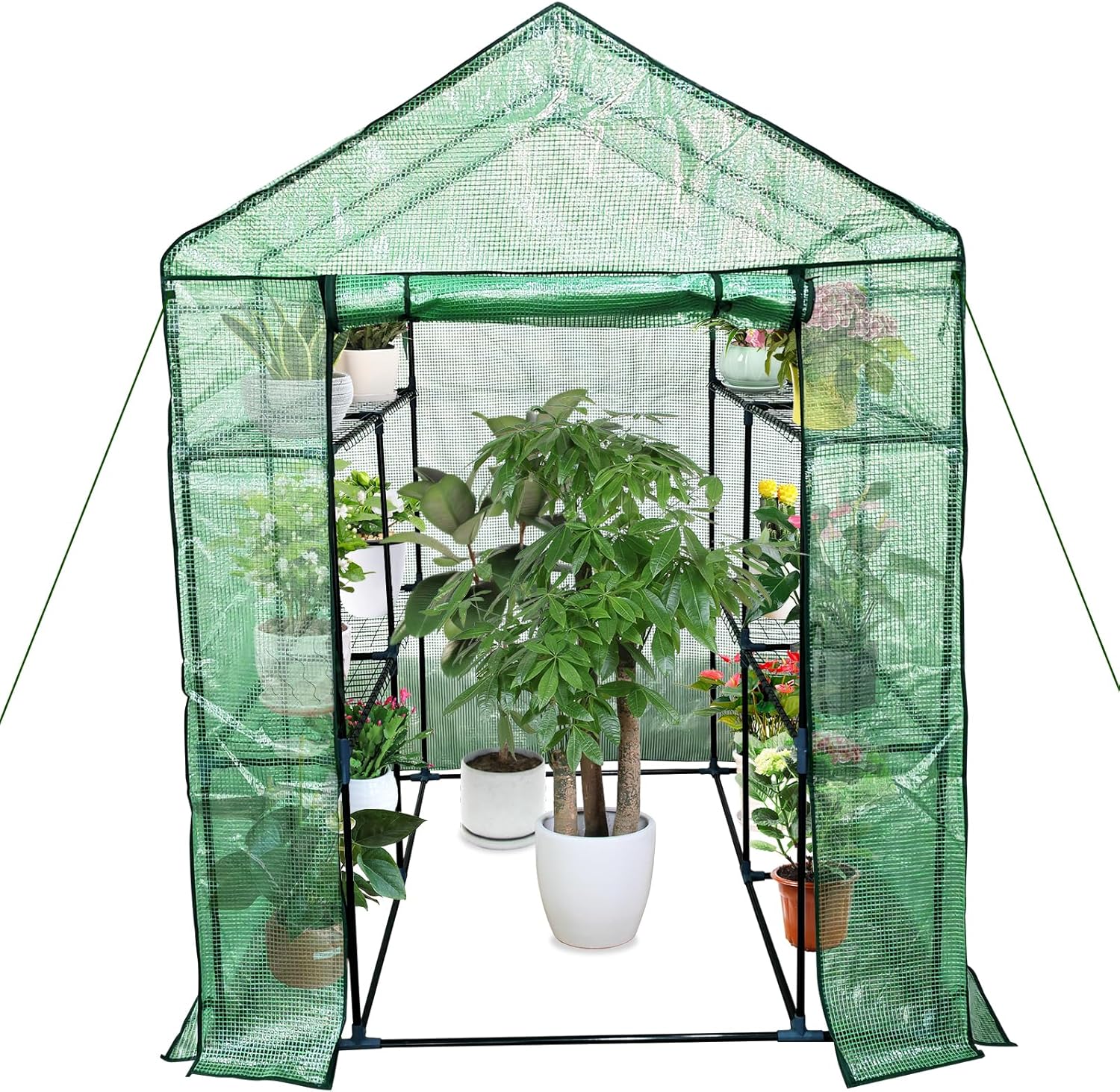 Greenhouse for Outdoors,Walk in 3-Tier 6 Shelves Green House w/ Roll-Up Zippered Door Anchors and Ropes,Waterproof & UV Protected Plant Garden Hot House for Garden Patio Backyard,57 x 57 x 76''