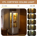 Freestanding Wine Cabinet, Upholstered Glass Door Bar Cabinet, 180° Viewing, 5-Color Ceiling Light, Adjustable Shelves, for Home or Dining Room, White