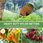 Bird Netting - Garden Poultry Netting with 3/4" Mesh Net, 50x50ft for Chickens, Heavy Duty Nylon for Fruit Tree, Orchard Protection