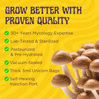 2 LB 2-Pack All-in-One Grow Bag: Up to 32oz of Mushrooms! Nutrient-Enhanced, Injection Port, Just Add Your Own Spores & Grow Like Magic (2 x 2 LB Bags)