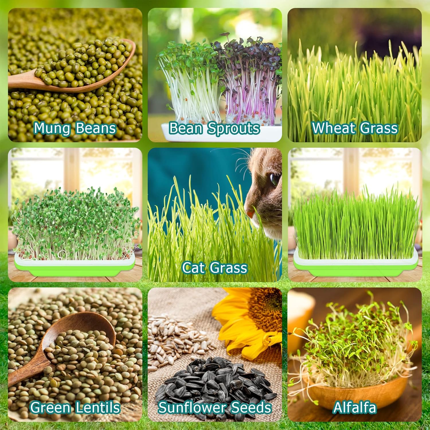 Legigo 10 Pack Green Seed Sprouter Trays- Soil-Free Cultivation Germination Tray, BPA Free Nursery Tray with Planting Paper for Indoors or Outdoors Sprouting Seeds, Grow Grass, Beans (Without Lids)